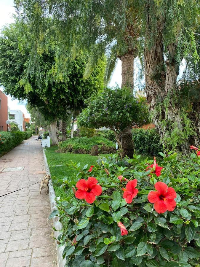 Casa Armonia Del Sol Villa San Bartolomé Kültér fotó